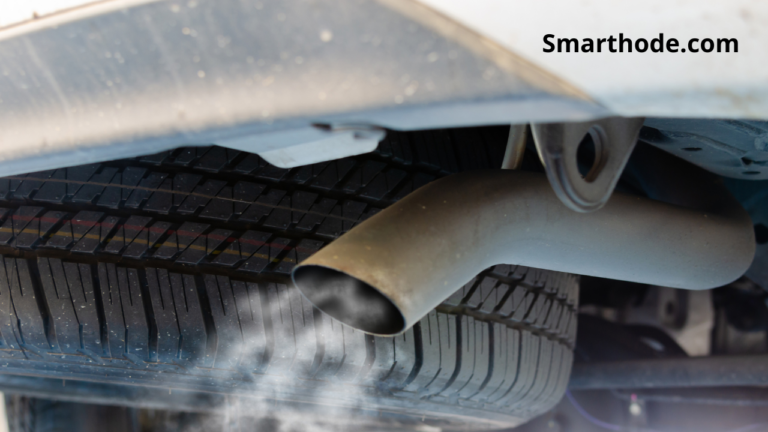 Abart Egzoz Cezası 2023