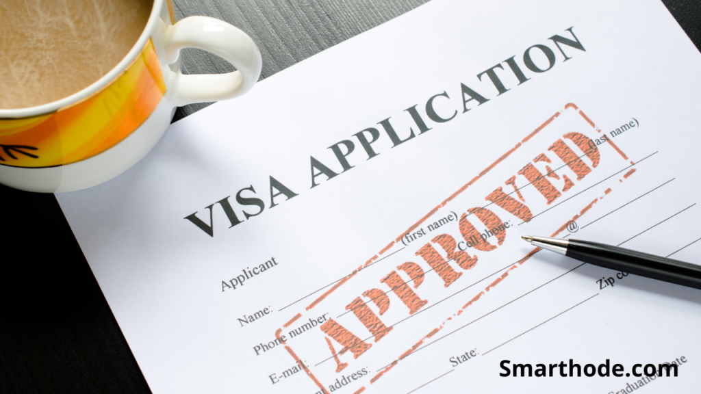 Araba Vizesinin Amacı